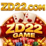 ZD22 Game